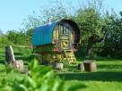 1 Bedroom Romany Gypsy Caravan in an Apple Orchard near Somerton, Somerset, England